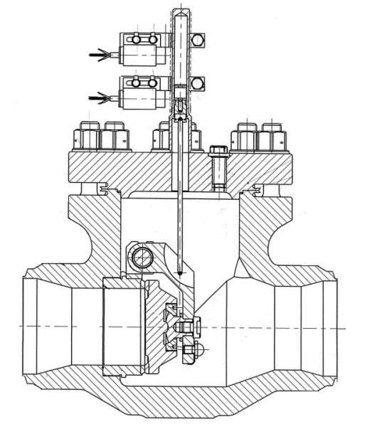 Затворы обратные для АЭС